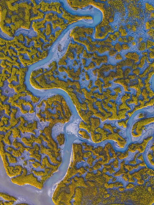 Pawleys Island, South Carolina | Golden Hour Aerial Fine Art Print