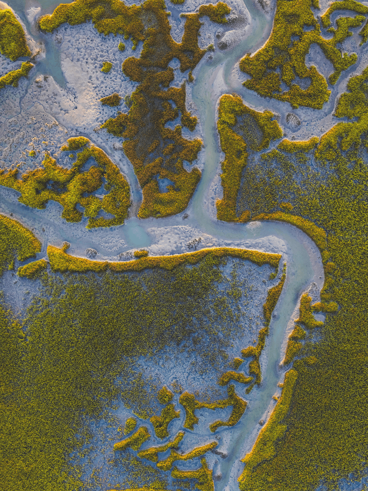 Pawleys Island, South Carolina | Golden Hour Aerial Fine Art Print