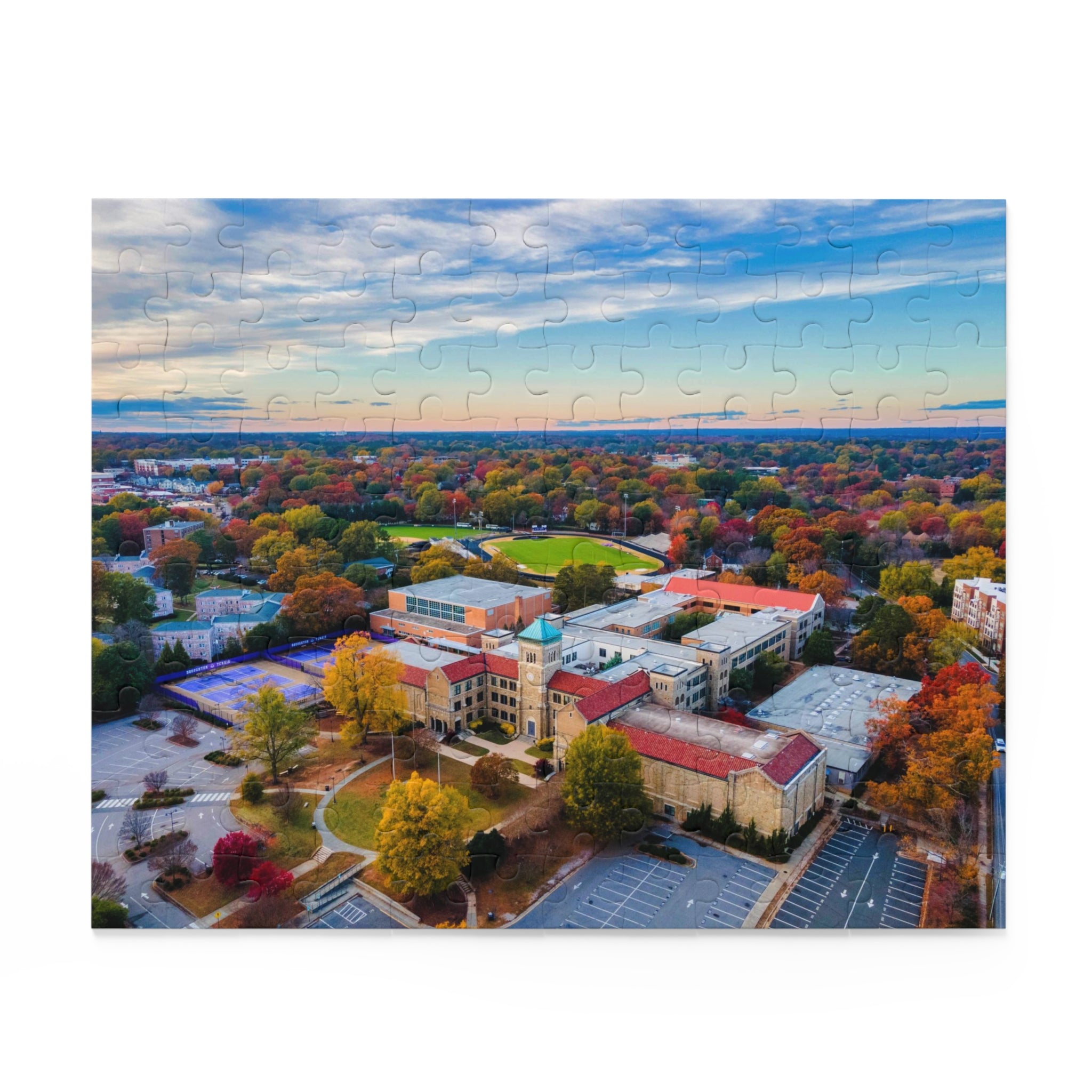 Broughton High School, Raleigh, NC - Puzzle (120, 252, 500-Piece)